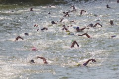 IMG_1913
