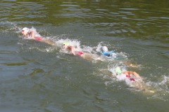 IMG_1930
