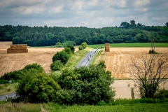 Vasi_Vasember_NJ_2022.07.09.-242