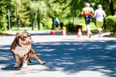Vasi_Vasember_Pannonsport_2026.07.04_NJ-188