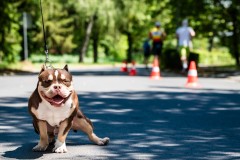 Vasi_Vasember_Pannonsport_2026.07.04_NJ-189